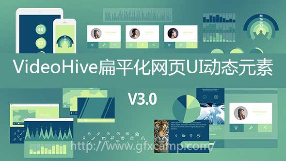 VideoHive-Flat-Infographic-2
