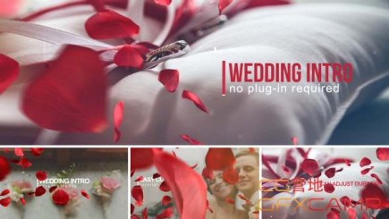 AE模板-玫瑰花瓣婚礼相册包装片头 Wedding Intro