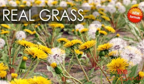 VIZPARK Real Grass for Cinema4D Modo OBJ FBX LightWave
