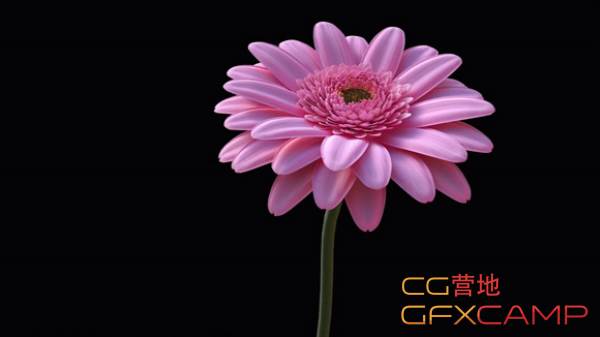 Cinema-4D-Modeling-Texturing-and-Lighting-a-Realistic-Flower-Tutorial