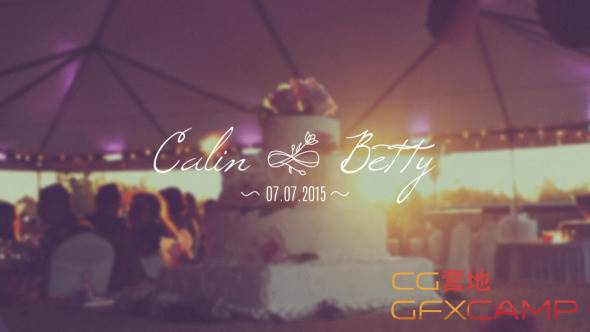 30 Wedding Titles