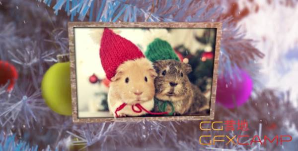 New Year Photo Album