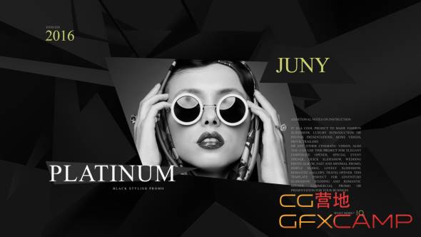 Platinum Fashion Promo