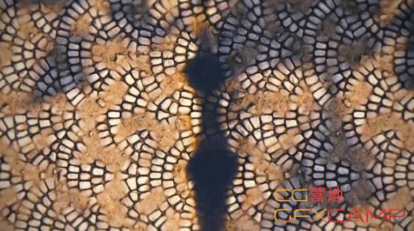 Pluralsight - Tileable Texture Creation in ZBrush