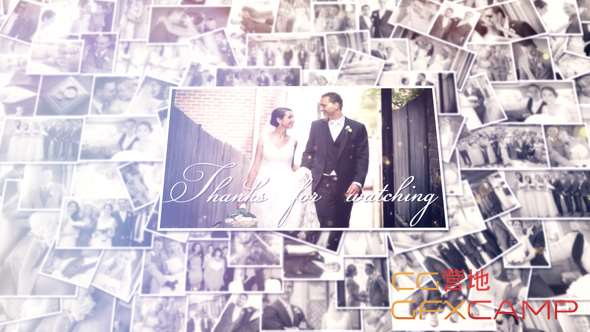 Wedding Album 17318946
