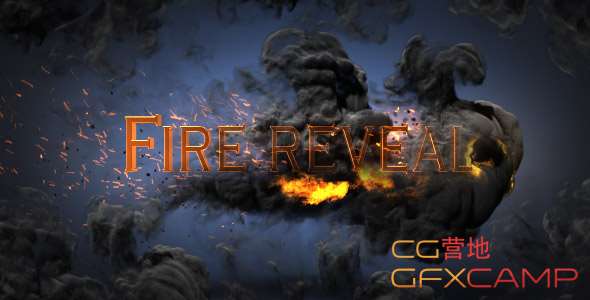 Fire Reveal 20241360