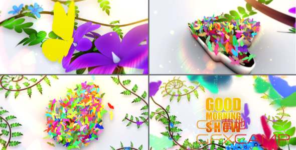 Morning Theme Package