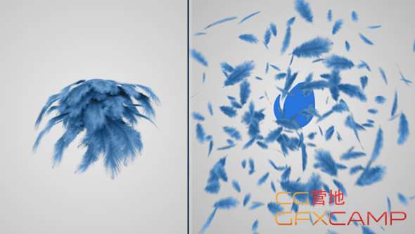 Feathers Logo Reveal 13902219