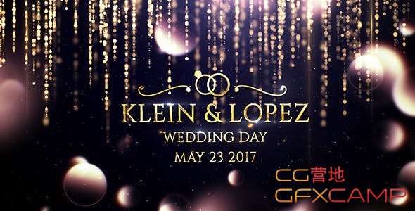 Wedding Opener 19773635
