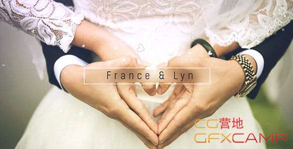 Wedding Gallery 21204113