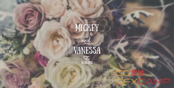 Wedding Titles Pack 16722750