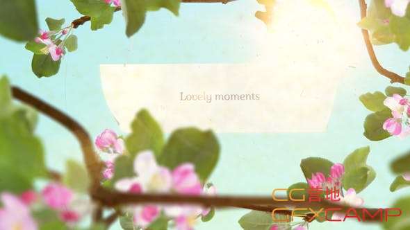 Lovely Moments 20175420