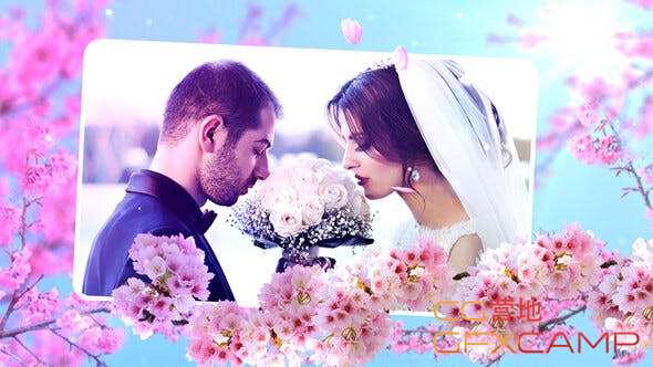 Wedding Flowers Slideshow 24038015