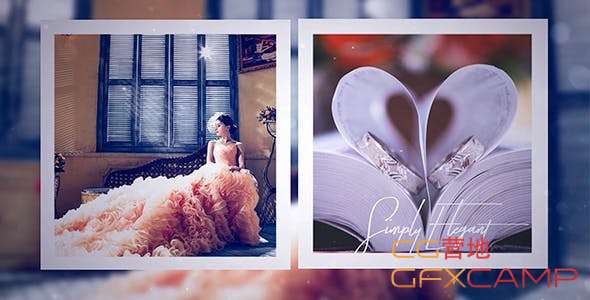 Wedding Day 21205306