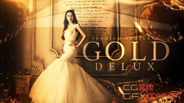 Gold Delux 22987323
